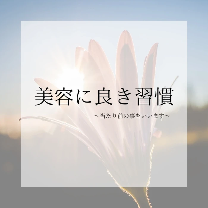 画像394