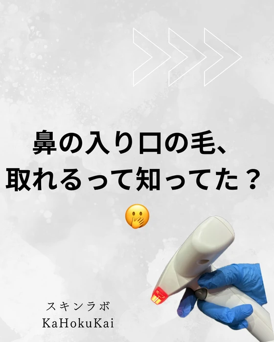 画像462